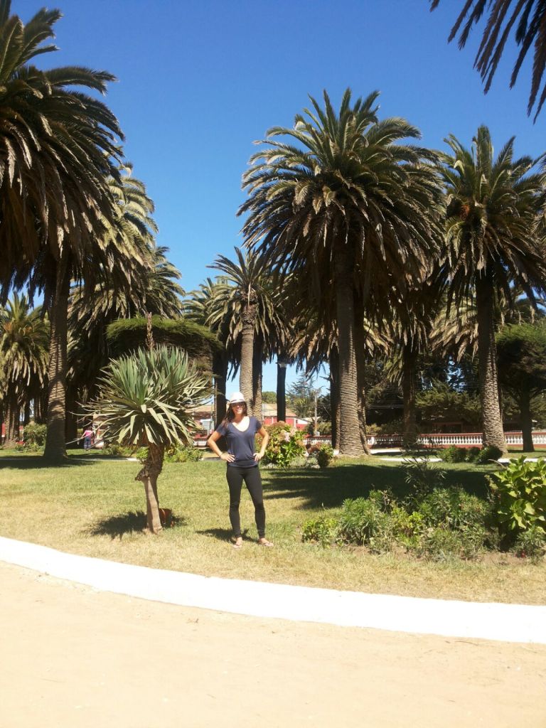 Vivi and I explored the center of Pichilemu one day and she introduced me to these gigantic palm trees that are specific to Chile.