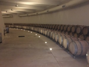 Barrels of wine on the tour