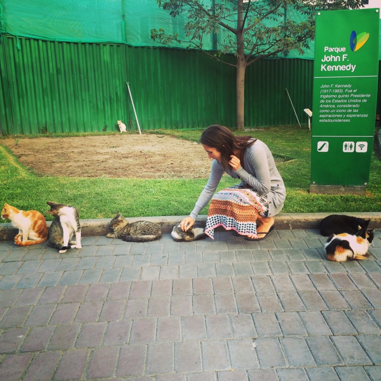 Lorena and I were exploring Lima without any destination in mind and came across an area where, suddenly, we were surrounded by cats. Lots and lots of cats. They were friendly and everyone was petting them. We realized that "Parque Kennedy" is an attraction point for many cats because people come there to feed them.