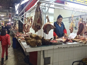 This is a picture of the market where Lorena and I bought our vegetables and fruit. These markets basically turned me vegetarian because I could not stand the smell or look of the meat. I literally walked by and had to look at the floor and cover my nose and mouth. Yes, that is some sort of animal head (goat?) on the corner of that stand.